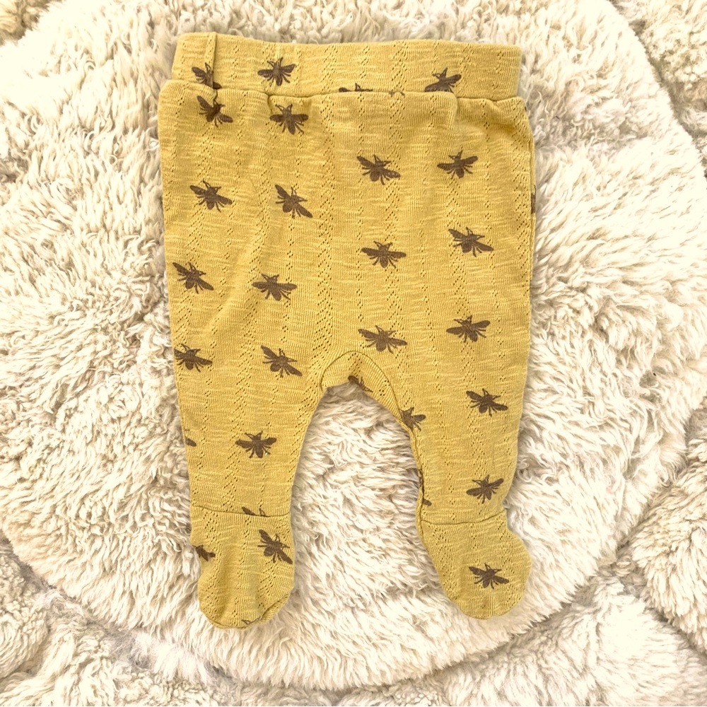 Kate Quinn Organics baby honeybee pants 🐝